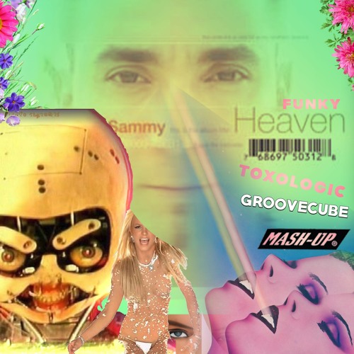 [full uncensored version on downloads] FUNKY HEAVEN TOXOLOGIC [GrooveCube Mash]