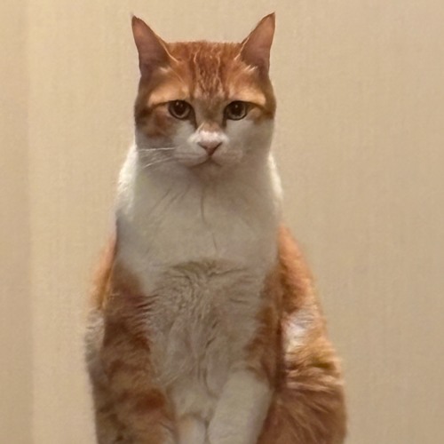 ぱーじキャンプステージ.m4a