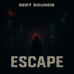 Sert Sounds - The path out