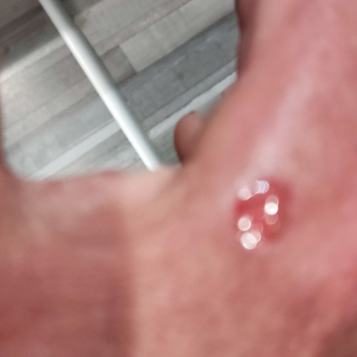 Yo Yo Composent Maxim