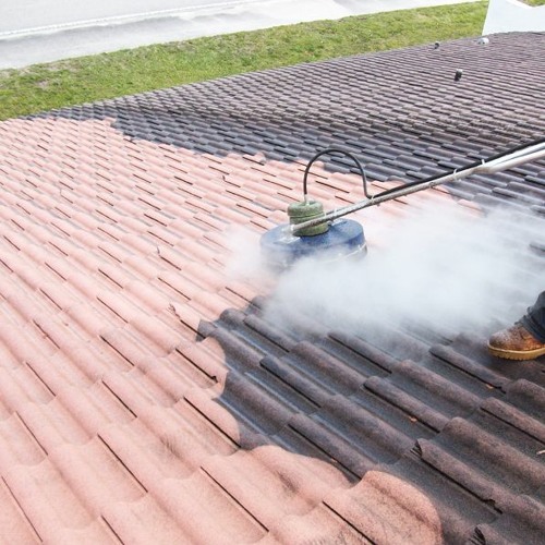 What Are the 4 Major Benefits of Professional Roof Cleaning?