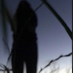 Prophet prod. michael harrison