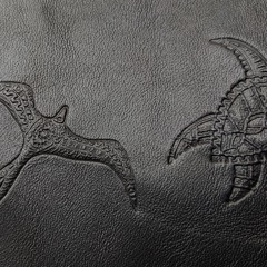 Bellroy × Patty Mills