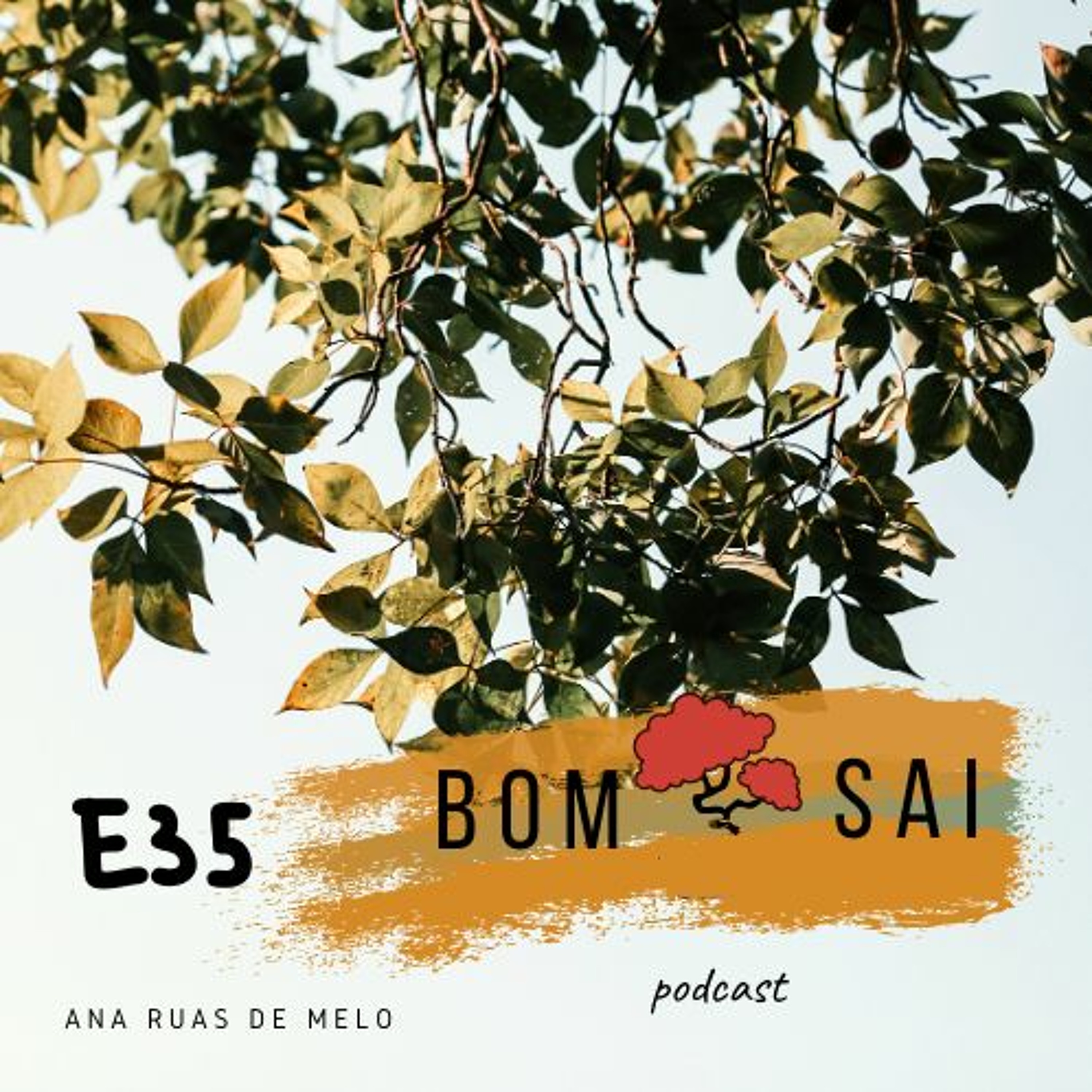 Episódio 35 - Excertos de livros que me marcaram #3 episode artwork