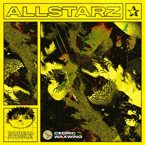 All Starz - Cedric Waxwing