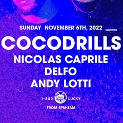 Andy Lotti @1-800 LUCKY (Sunset Disco Set) Warm up for COCODRILLS