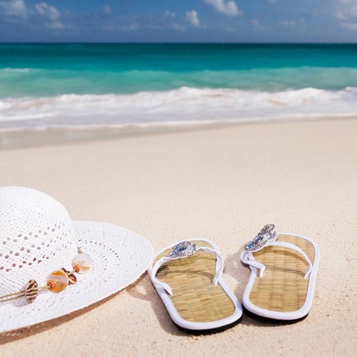Summer Without You