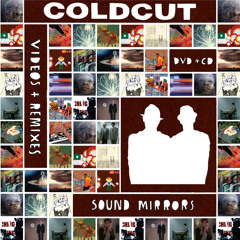 Everything Is Under Control (Solid Groove Dub) [feat. Jon Spencer & Mike Ladd]