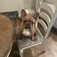 bax