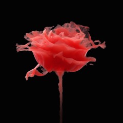 I See Something More