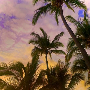 Le béguin pour Caroline Mars [Saône Check] (01.11.22)