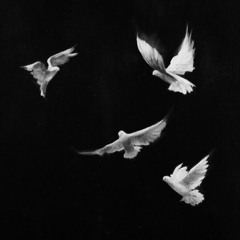 Black Angels