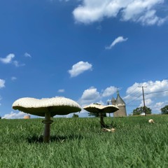 2022 - 11 - 04 20h24m00