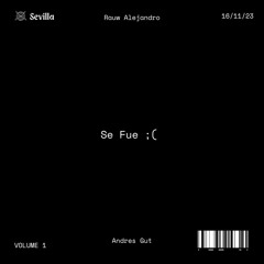 Se Fue - Rauw Alejandro (Laura Pausini): Andres Gut Remix