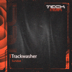 trackwasher - sundae