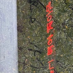 石 - 2024:10:05 19.57