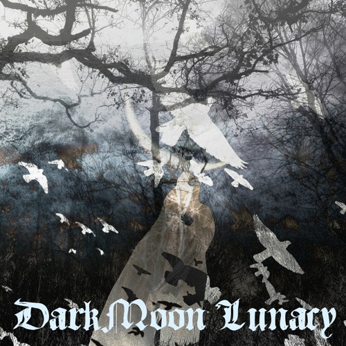 Mathbonus & Portwave - DarkMoon Lunacy