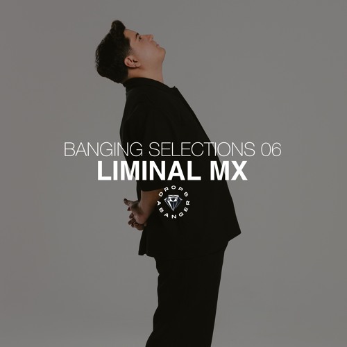 Banging Selections #06 by Liminal MX