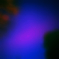 Night
