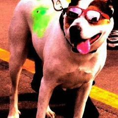 do the dead dog dance