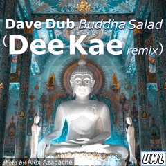 Dave Dub - Buddha Salad (Dee Kae remix)