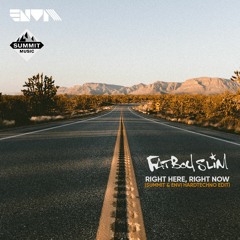 [FREE DOWNLOAD] Fatboy Slim - Right Here, Right Now (Summit & Envi Hardtechno Edit)