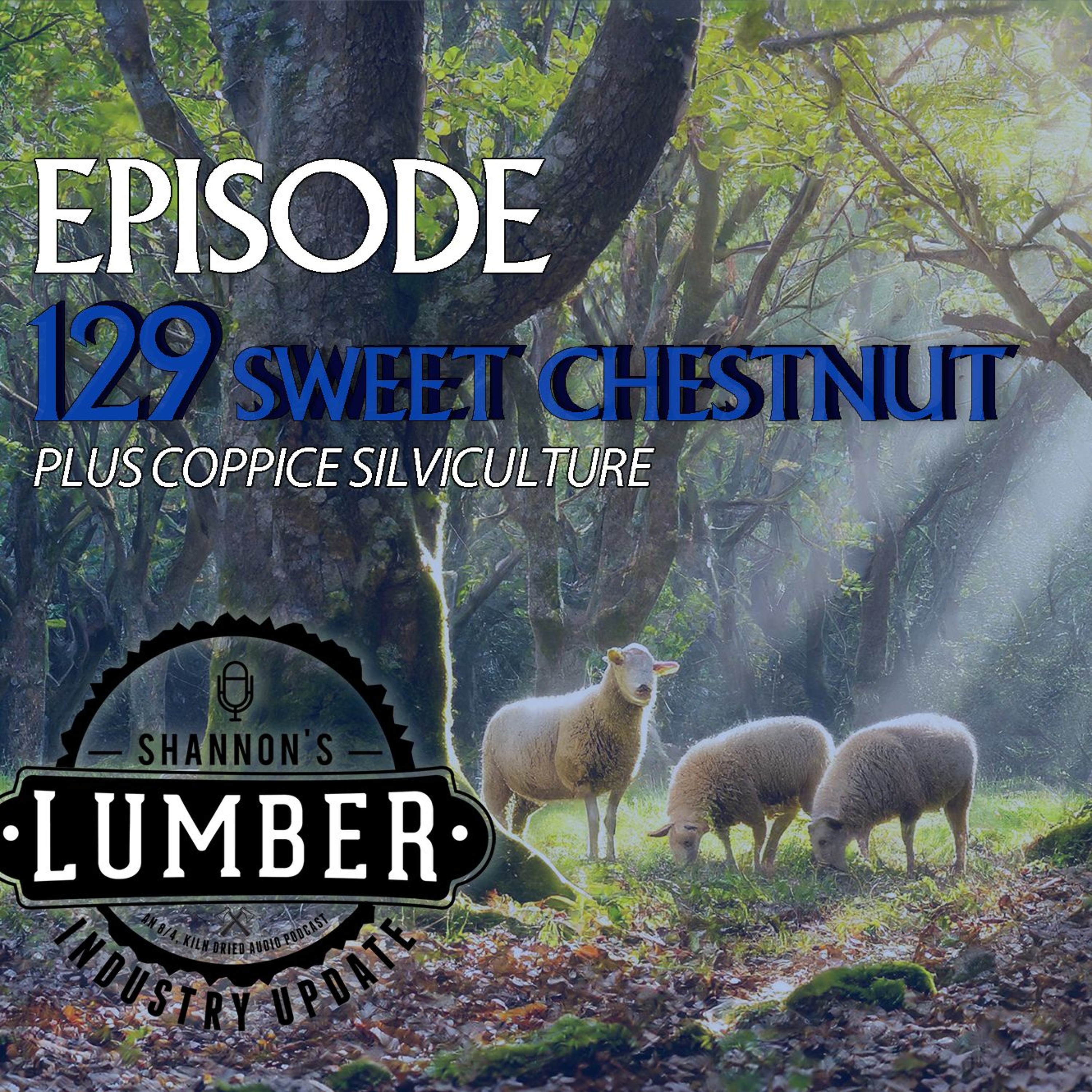 129 - Sweet Chestnut