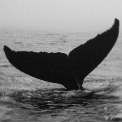 Ocean deep