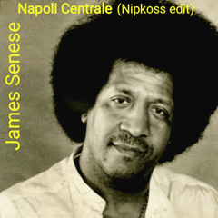 James Senese - Napoli Centrale (Nipkoss Edit)