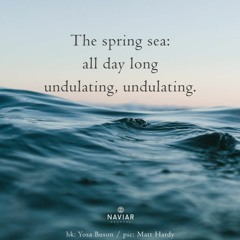 The Spring Sea  ( Naviar Haiku 456 )