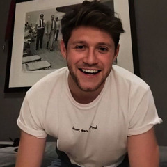 champange lovers| niall horan