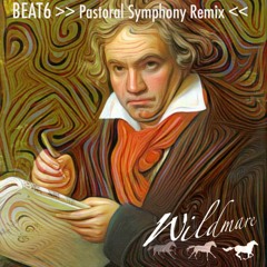 BEAT6 - Beethoven 6th Symphony - "Pastoral" - Wildmare Remix