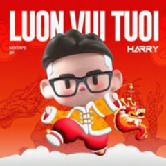 MixSet - Nhạc Nẩy Luôn Vui Tươi - VX RMX