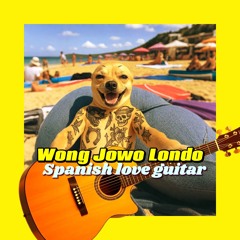 SPANISH LOVE GUITAR instrumental