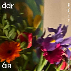 ÓIR | DDR 02.11.25