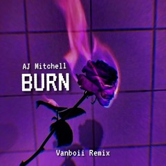 AJ Mitchell - Burn ( Vanboii Remix )