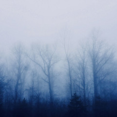Ratio (feat. kargovandam)