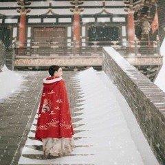 Kim Ngọc Lương Duyên - Phó Tuyết - 金玉良缘 - 付雪
