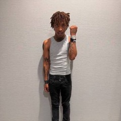 topoppgen- crocodile