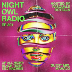 Night Owl Radio 301 ft. Black Tiger Sex Machine and Mahalo