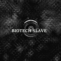 Biotech Slave - Destroy (Mp3)