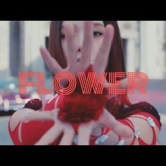 Jisooo Flower X Droppin X Boom Boom Pow (Edit)