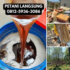 TERLARIS, JUAL Madu Asli Murni Terdekat, 0812-5936-3086