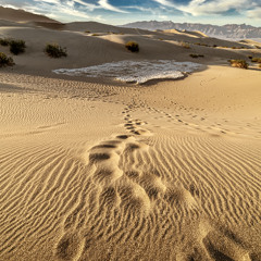 ☉ BOGLIACINO ☉ PROGRESSIVE HOUSE 11/04/25