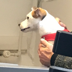 NÅR ALT GÅR FRA FORSTANDEN