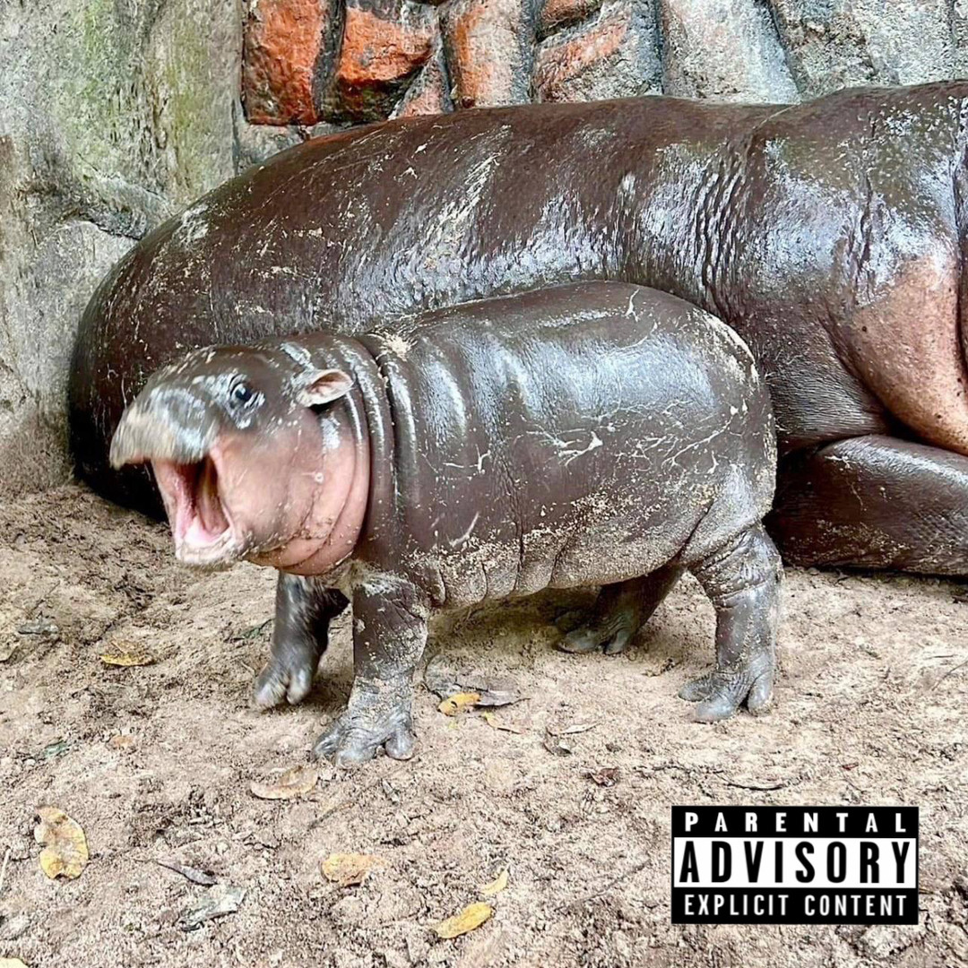 race.demo feat. sideOside