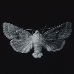 amerikanskie volosi, mama.