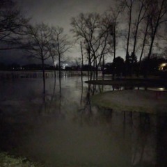 Grunge Rock type instrumental - catfish