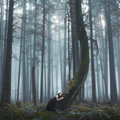 Werifesteria, Mvt. 1