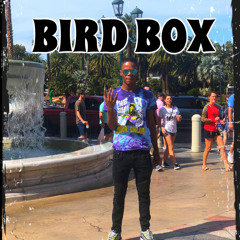 Bird Box